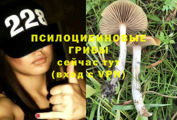 мяу мяу мука Волосово