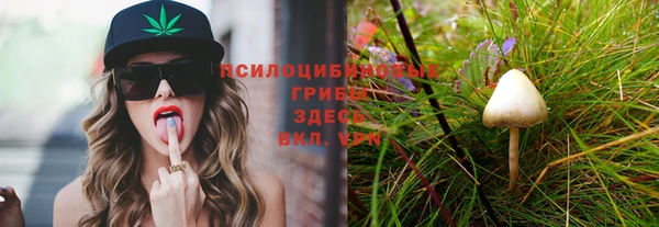 герыч Волоколамск